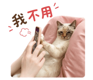 882404402