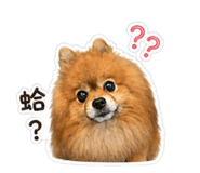 882406067