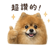 882406092