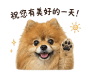 882406093