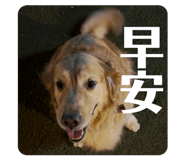 882415170