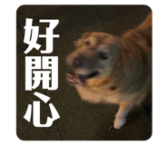 882415175