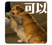 882415179