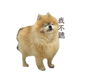 882417817