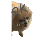 882417826