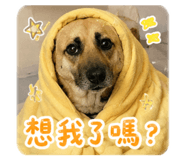 882424525