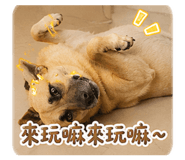 882425890