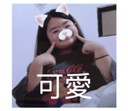 882426044