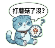 882426505