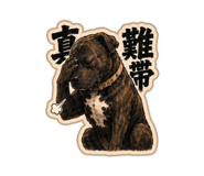 882428004