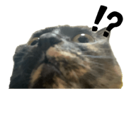 882428969