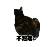 882428971