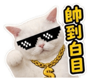 882431494