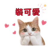 882433204