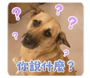 882434300