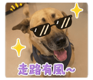882434307