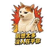 882434329