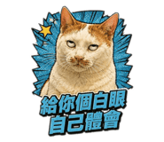 882434335