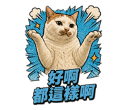 882434339