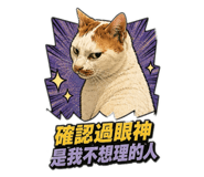 882434342