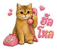 882470344