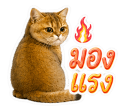 882470350