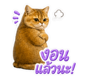 882470356