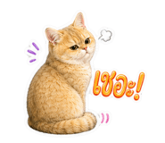 882470376