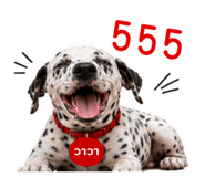 882471972