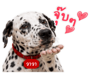 882471982
