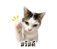 882482313