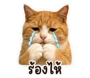 882483930