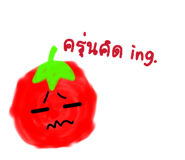882484261