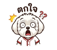 882487462