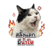 882487468