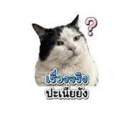882487472