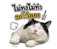 882487476