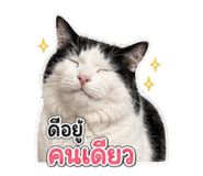 882487477