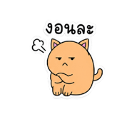 882487816