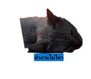 882506020