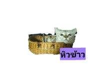 882506024