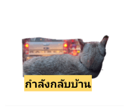 882506025