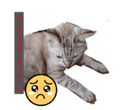 882506026