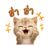 882506520