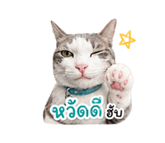882521530