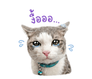 882521541