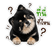 882522380