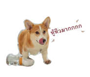 882522502