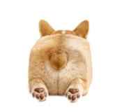 882522503