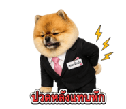882525313